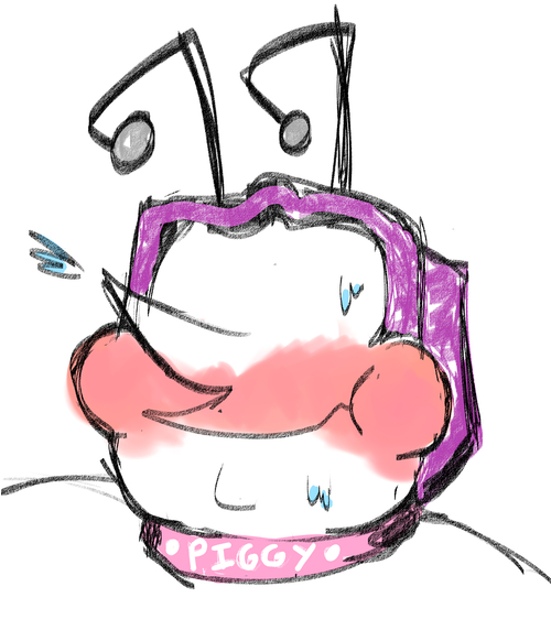 Fat Tenna in a bright pink collar that says 'piggy'